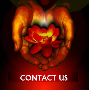 contact_us.jpg